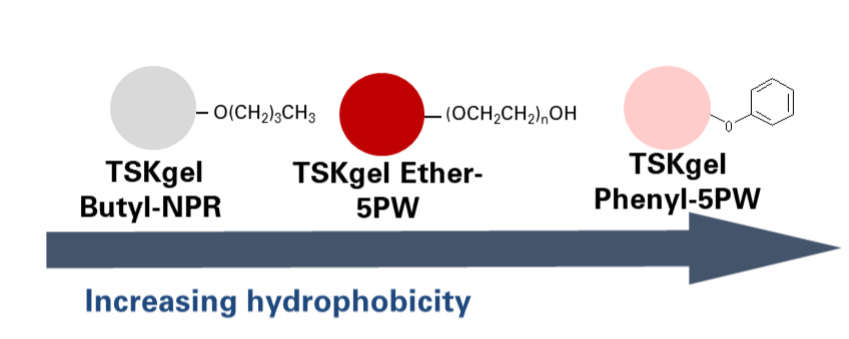 Hydrophobicity of TSKgel HIC columns